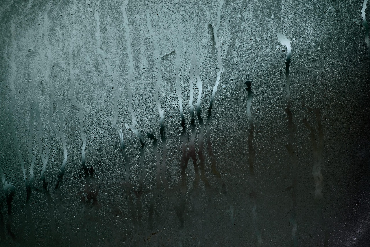 glass, window, moisture, texture, water, wet, condensation, nature, droplets, water droplets, glass window