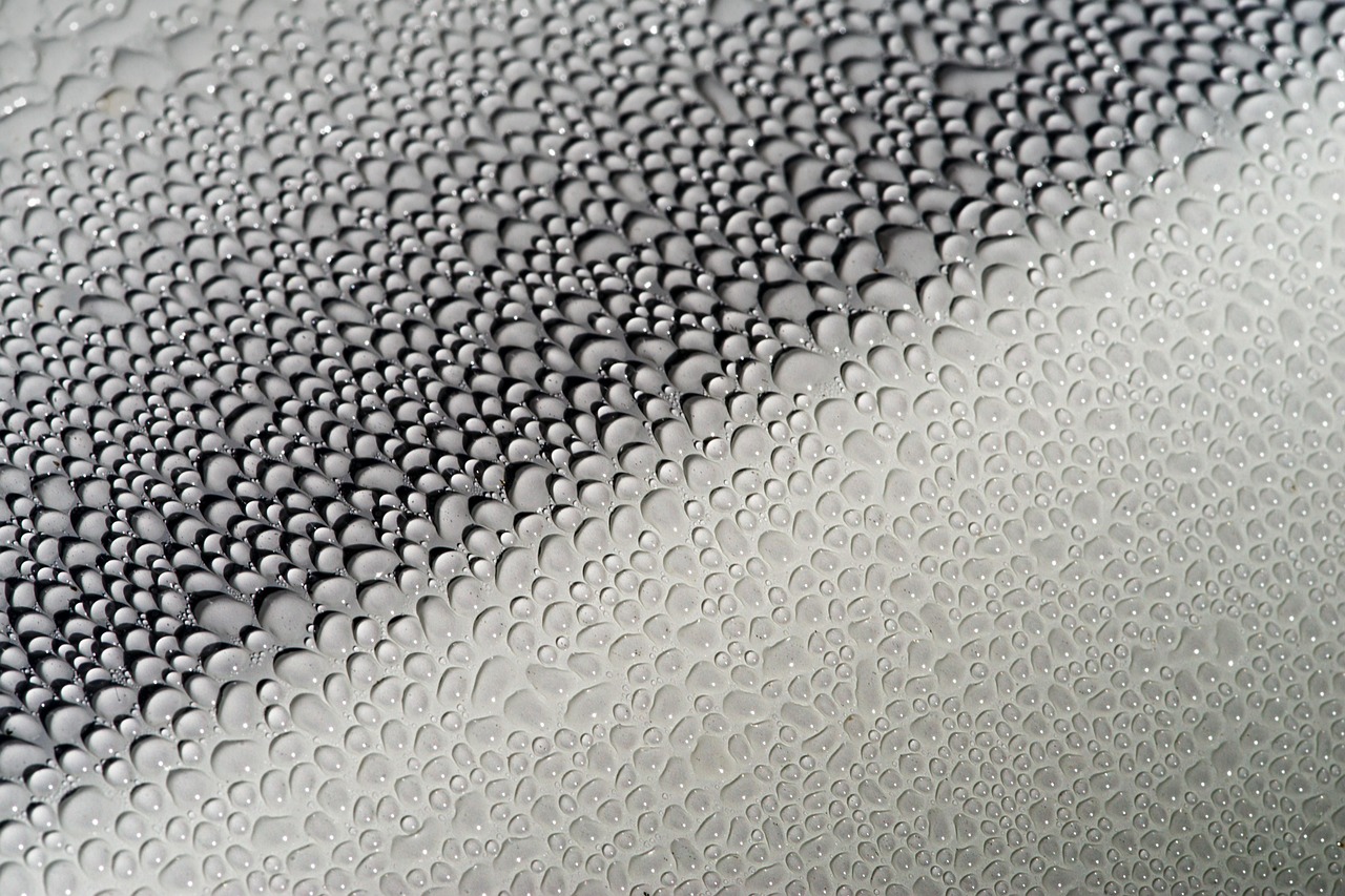 water, droplets, effervescence, car body, nature, wax, sealing, gloss, glaze, polished